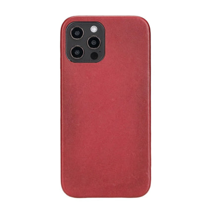 F360 iPhone 12 Pro Max Leather Case – Mixed Palette