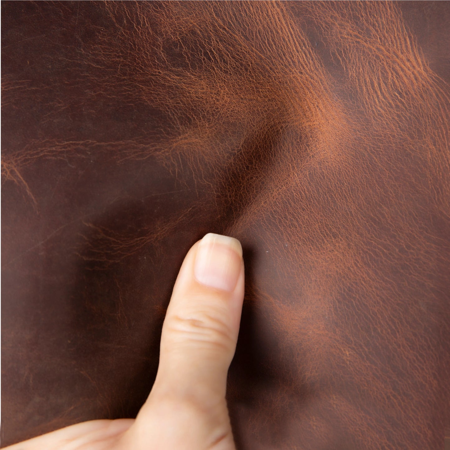 Eterna Leather Journal Cover